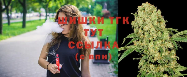 PSILOCYBIN Губаха
