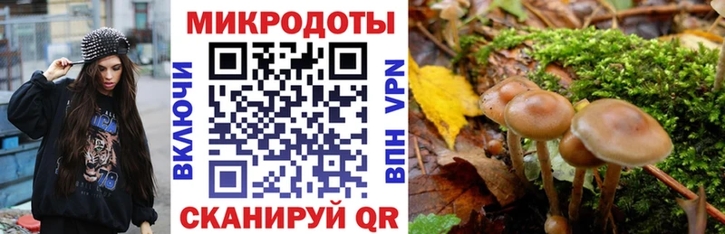 купить наркотики цена  Иркутск  Галлюциногенные грибы Magic Shrooms 