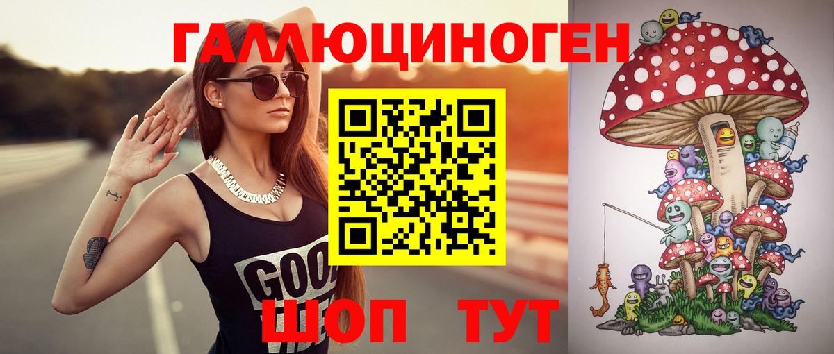 Россия  Галлюциногенные грибы Psilocybe  Вход с VPN 