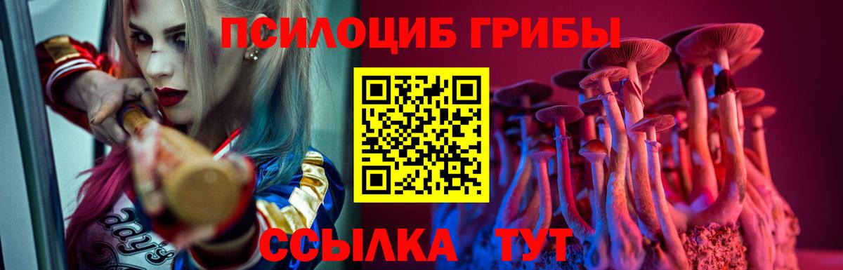 Псилоцибиновые грибы мицелий  Вход с VPN  Россия 